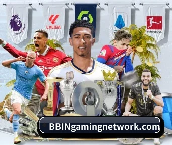 bbin真人 APP