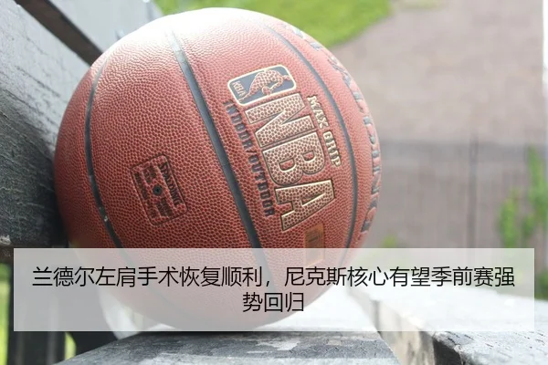 lan-de-er-zuo-jian-shou-shu-hui-fu-shun-li-ni-ke-si-he-xin-you-wang-ji-qian-sai-qiang-shi-hui-gui-2-250.jpg