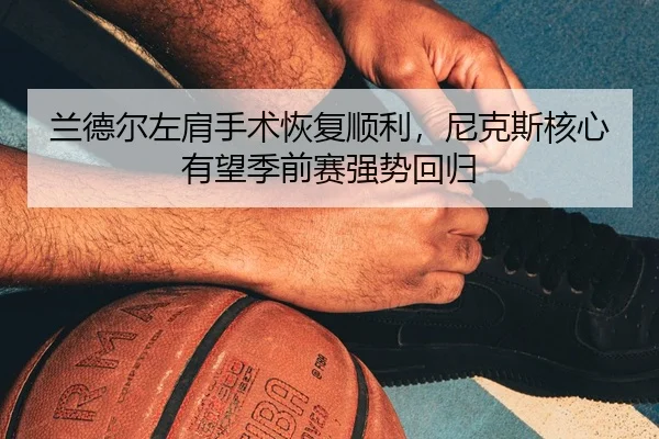 lan-de-er-zuo-jian-shou-shu-hui-fu-shun-li-ni-ke-si-he-xin-you-wang-ji-qian-sai-qiang-shi-hui-gui-3-477.jpg