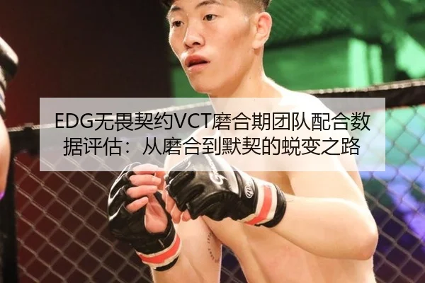 EDG无畏契约VCT磨合期团队配合数据评估：从磨合到默契的蜕变之路