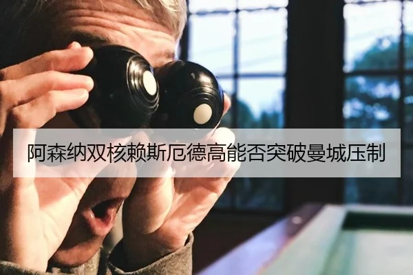 a-sen-na-shuang-he-lai-si-e-de-gao-neng-fou-tu-po-man-cheng-ya-zhi-2-968.jpg